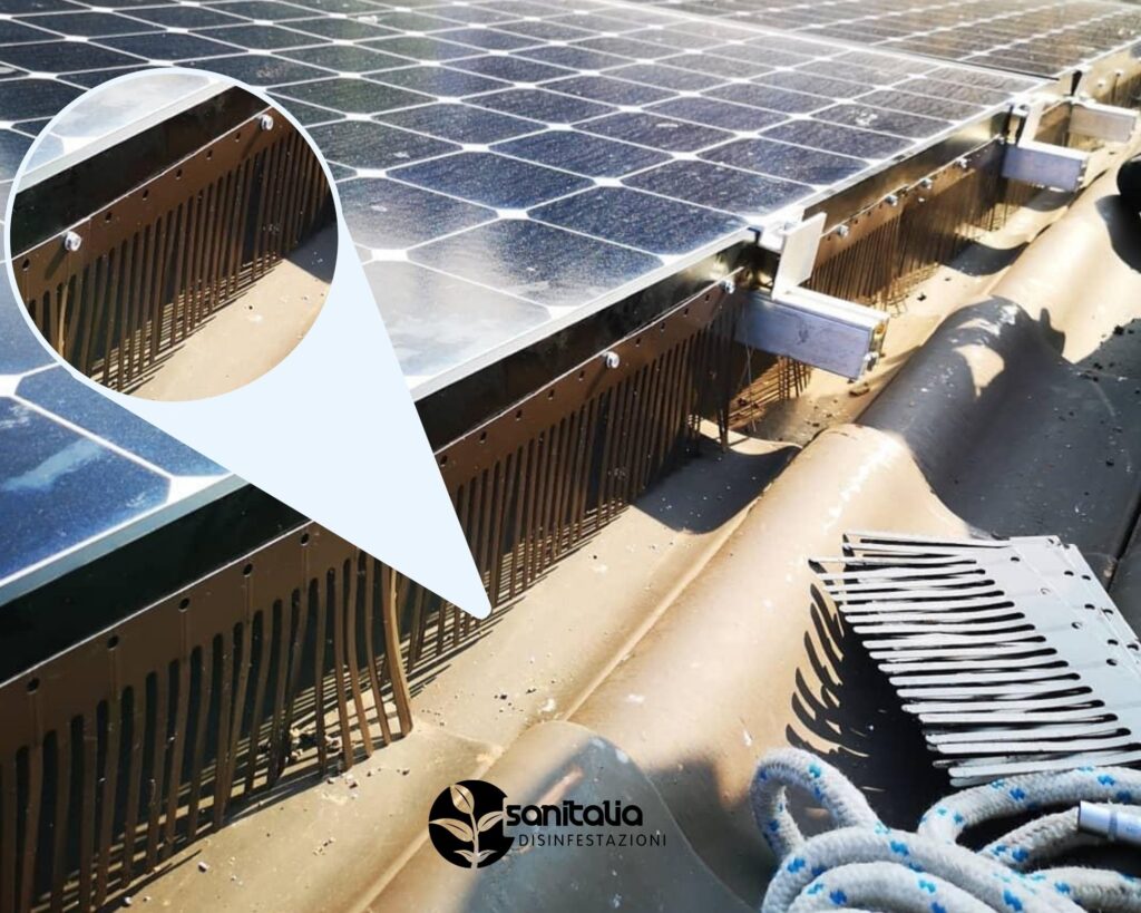 PICCIONI CHE NIDIFICANO NEI PANNELLI SOLARI?